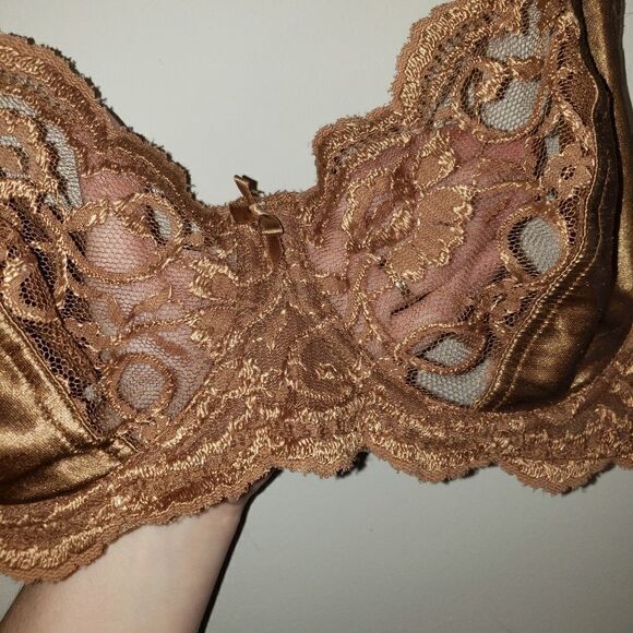 THE WOMAN WITHIN BRONZE LACE FULL COVERAGE BRA SIZE 42C VINTAGE - Picture 2 of 7